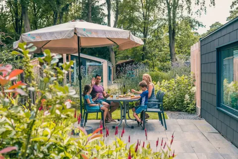 De Utrechtse Heuvelrug foto 5