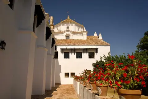 Monasterio de San Francisco in Palma Del Rio — foto 8