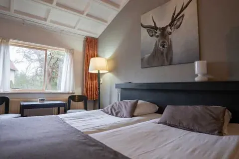 Veluwe Hotel Stakenberg foto 11