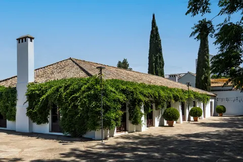 Cortijo Torre de la Reina in Guillena — foto 5