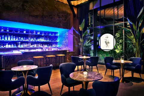 Banyan Tree Dubai in Dubai — foto 16