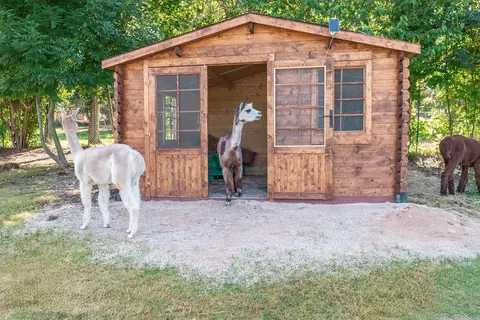 Camping Ekar Asiago in Asiago — foto 6