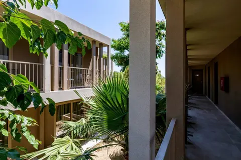 Hotel White Olive Premium Lindos in Πεύκοι — foto 7