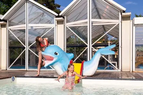 TopParken Resort Veluwe foto 14