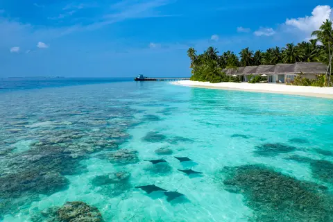 Baglioni Maldives Luxury All-inclusive in ކުޑަހުވަދޫ — foto 18