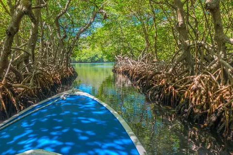 8 dg cruise West Caribische Zee Icon of the Seas in Berry Islands