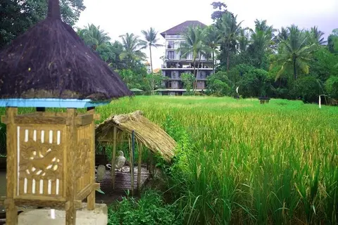 Plataran Hotel & spa in Ubud, foto 22