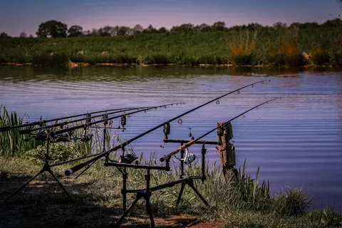 Camping Wedderbergen foto 28