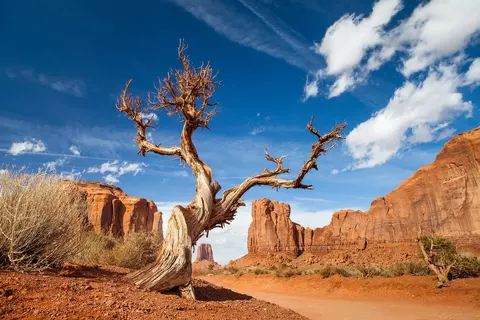 The Great West foto 1