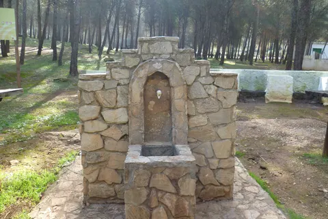 Camping La Sierrecilla foto 11