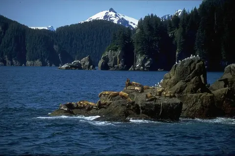 Rocky Mountain Rail Tour and the Inside Passage foto 25