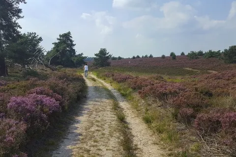 Hof van Salland foto 21