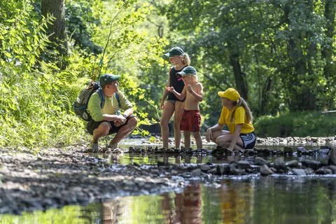 Camping Parc La Clusure foto 10