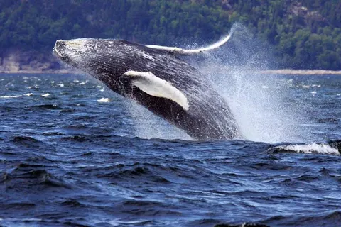 Discover Scenic Eastern Canada foto 5