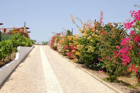 Monte da Bravura Appartement foto 19