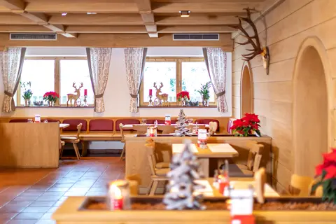 Pension Alpenrose in Maishofen — foto 6