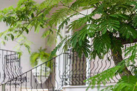 Villa Albanis in Achladias, foto 11