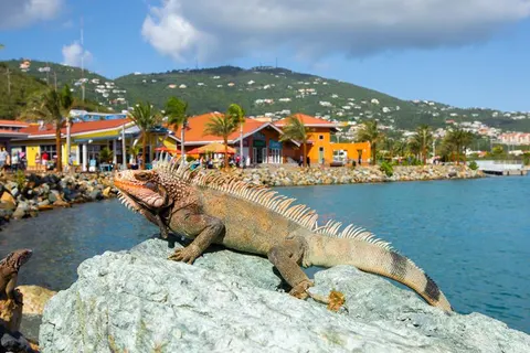 8 dg cruise Oost Caribische Zee Icon of the Seas foto 3