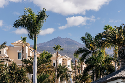 Hotel Gran Melia Palacio de Isora foto 9