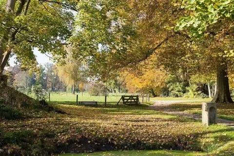 Hotel Flora Batava foto 16