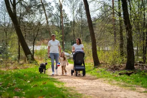 Vakantiepark De Rimboe en De Woeste Hoogte foto 43