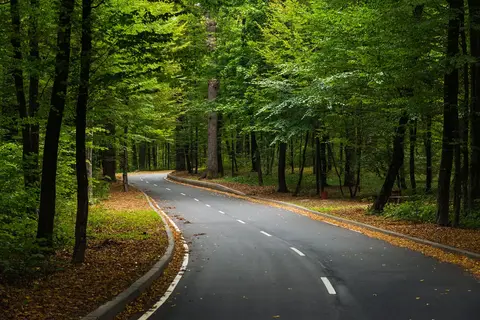 De Moezel, het Zwarte Woud en het Sauerland op het gemak in Hannover — foto 11