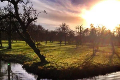 Best Western City Hotel Woerden foto 22