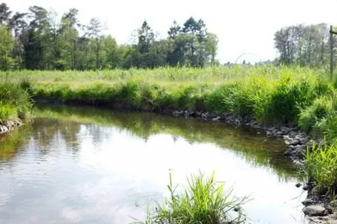 Hotel Erve Bruggert foto 25