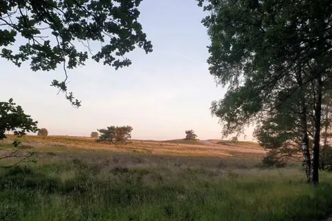 Heidepark Veluwschkarakter foto 5