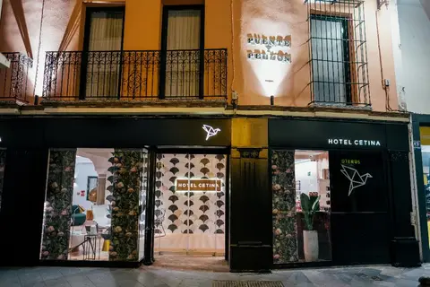 Hotel Cetina Casa de las Telas in Sevilla — foto 19