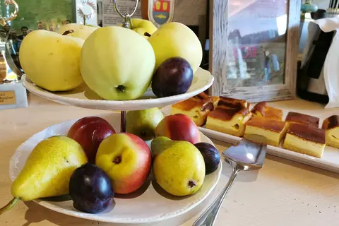 Hotelpension Oberauer Wagrain in Wagrain, foto 4
