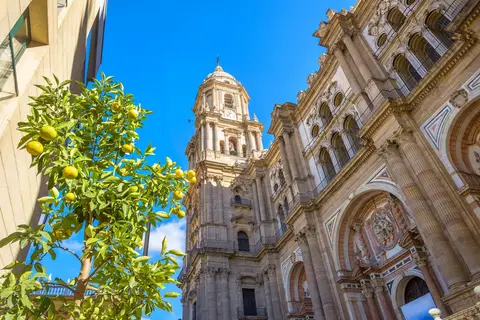 Gouden Driehoek van Andalusië in Hernani — foto 2