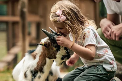 Camping De L Orangerie De Lanniron foto 18