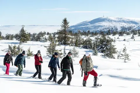 Trysil Hotel in Trysil, foto 8