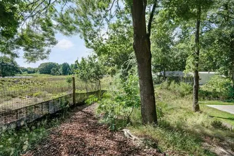 Vakantiepark Drentse Vennen foto 11