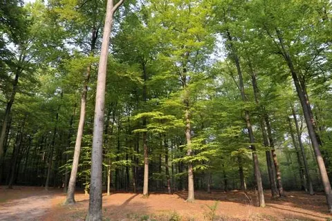 Hotel Mastbosch Breda foto 18