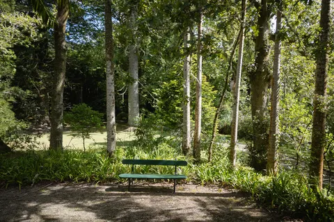 Cantos Green Garden in Povoação — foto 22