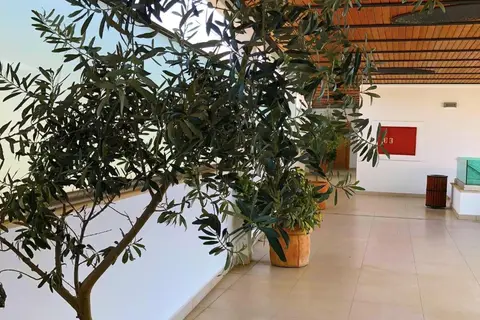 Zest Exclusive Hotel & Spa in Bodrum — foto 20