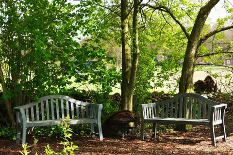 Bed and Breakfast Drentse Krent foto 13