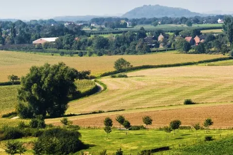 Hotel Bemelmans foto 14