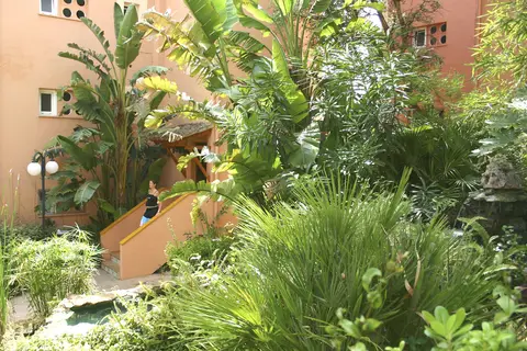 Aparthotel Aquasol in Palmanova — foto 16