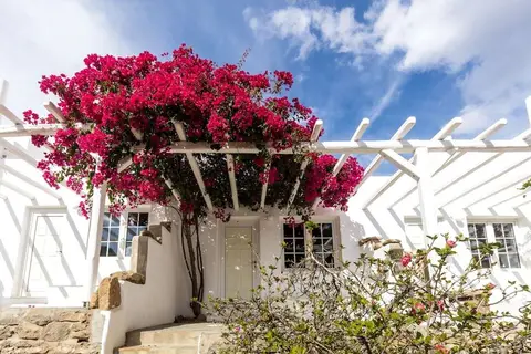 Rhenia Hotel in Τούρλος — foto 16