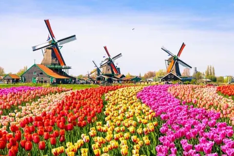 Dormio Water Resort Medemblik foto 9