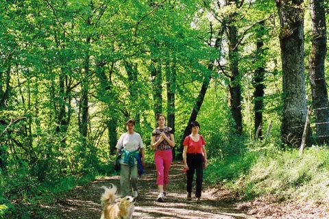 Camping Lac De Bournazel foto 11