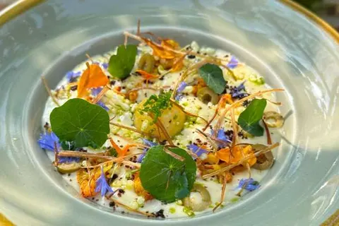 B&B Kunstkamer Franeker foto 21