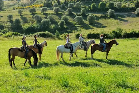 Agriturismo Castellare di Tonda Resort & Spa in Montaione — foto 10