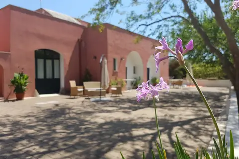 Tenuta Doxi in Sannicola, foto 22