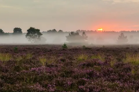 Natuurpoort van Loon foto 23
