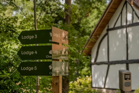 Vakantiepark Woodz Lodges foto 3