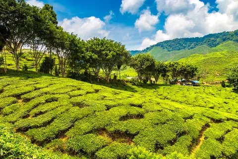 Explore Magnificent Malaysia foto 1